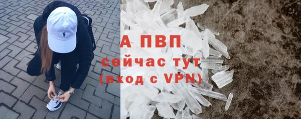мяу мяу мука Вяземский