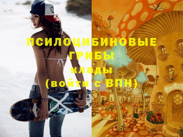 jwh Снежногорск