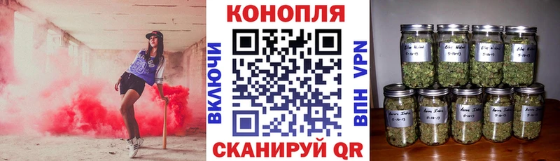 Бошки марихуана марихуана  купить   Сельцо 